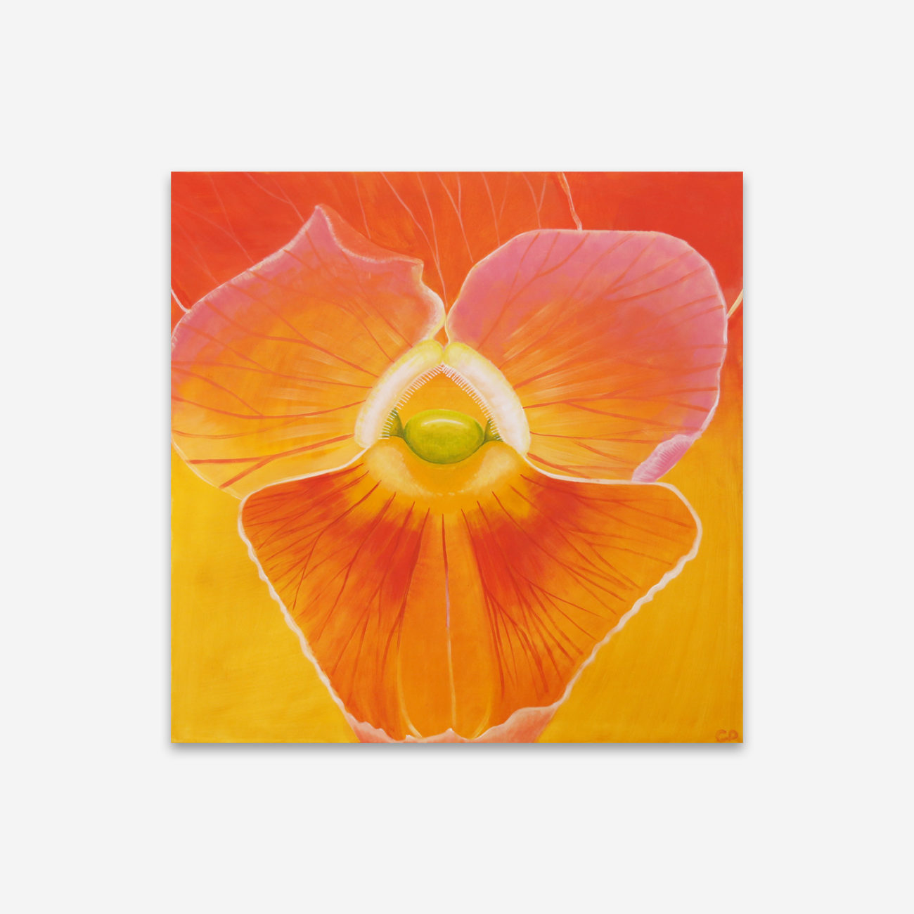 Flinders Blooms Chameleon Art Rental