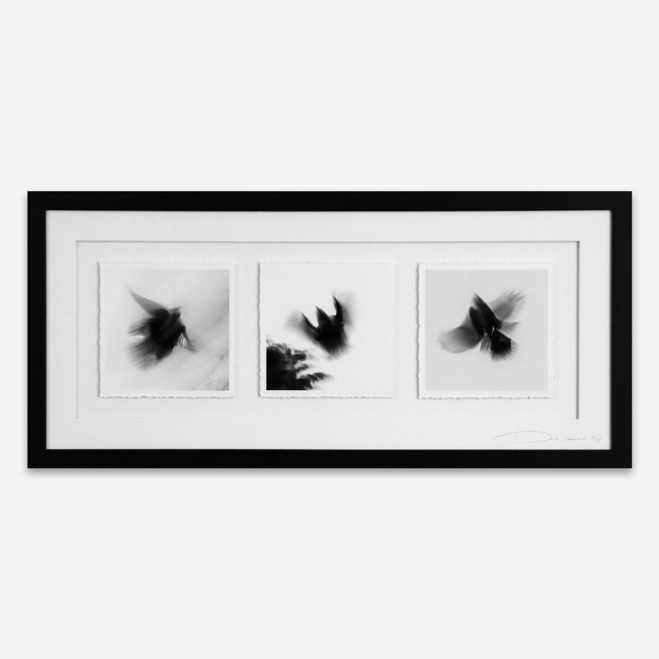 In the Red Gouache Chameleon Art Rental